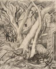 <em>House in the Trees </em>