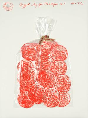 <em>Bagged Day-Glo Oranges</em>