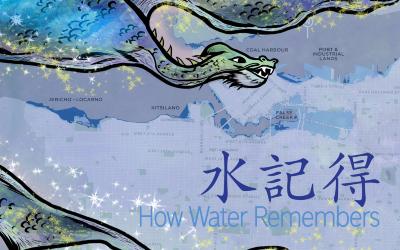How Water Remembers <b>水記得 </b>Divination Deck and booklet