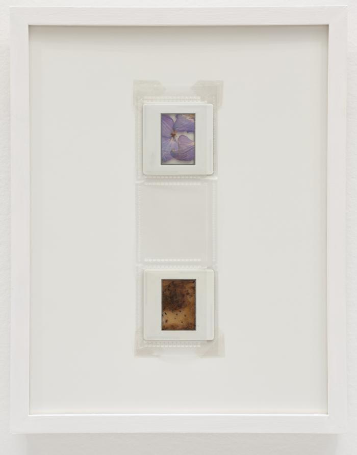 <em>she who had scanned the flower of the world..., print #GR340</em>