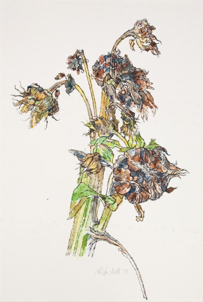 <em>Dead Sunflowers</em>