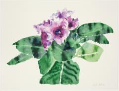 <em>Purple Gloxinia II</em>