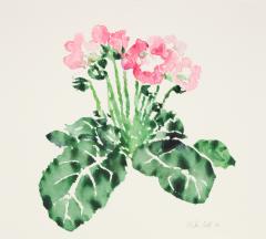 <em>Pink Gloxinia III</em>