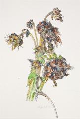 <em>Dead Sunflowers</em>