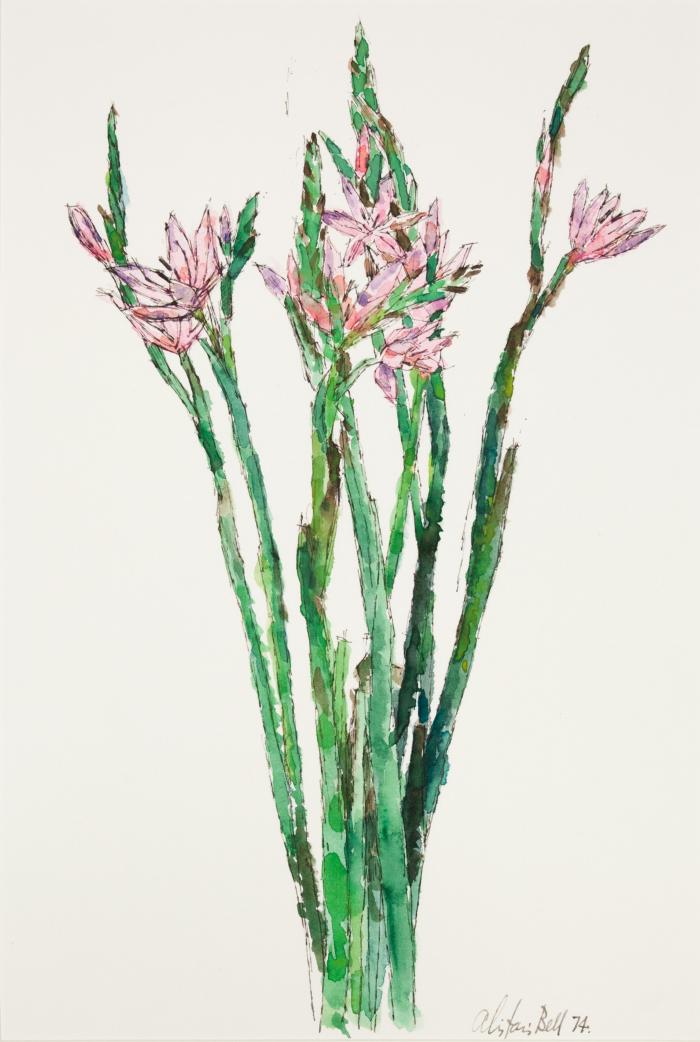 <em>Kaffir Lilies I</em>