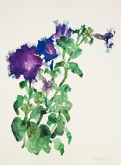 <em>Purple Petunia</em>