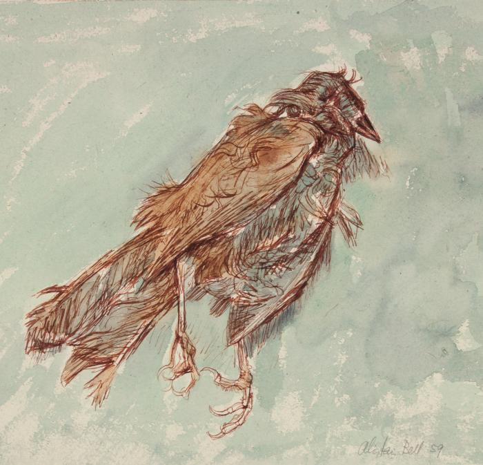 <em>Dead Sparrow</em>