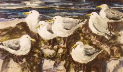 <em>Seagulls</em>